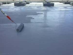 Roof Coating