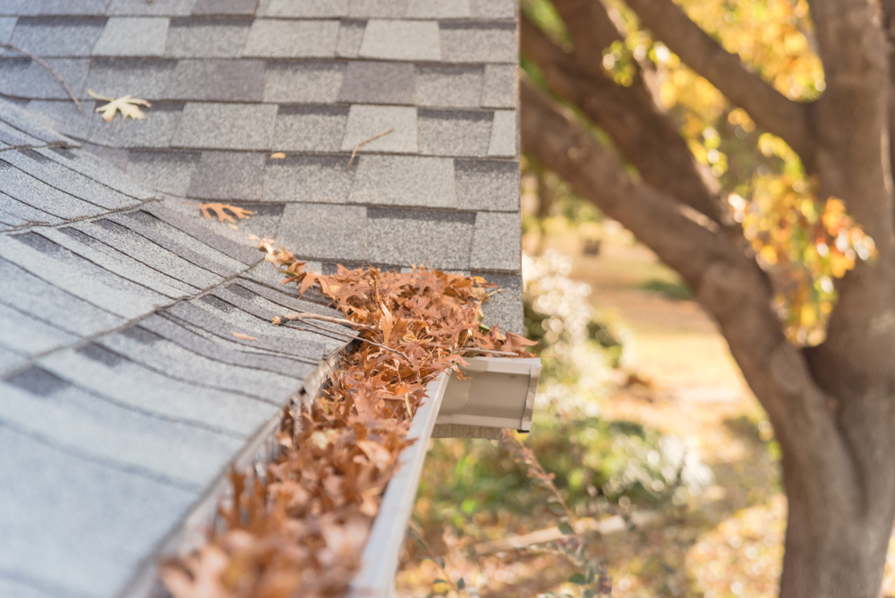 Get imaginative with your Residential Roofing Replacement! Discover how transitioning from shingles to chic can be for your home.
